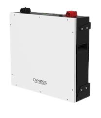Dyness Lithium Battery 5kwh dl 5.0C
