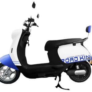Cherry Electric Bike