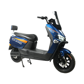 Raptor EV Bike