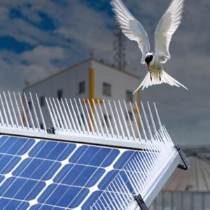 Solar Panels Birds Spikes  | Solar Birds Repellent 12 inches